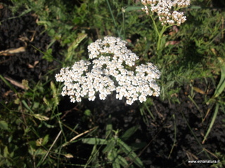 ano dell Acqua-26-05-2013 08-22-36